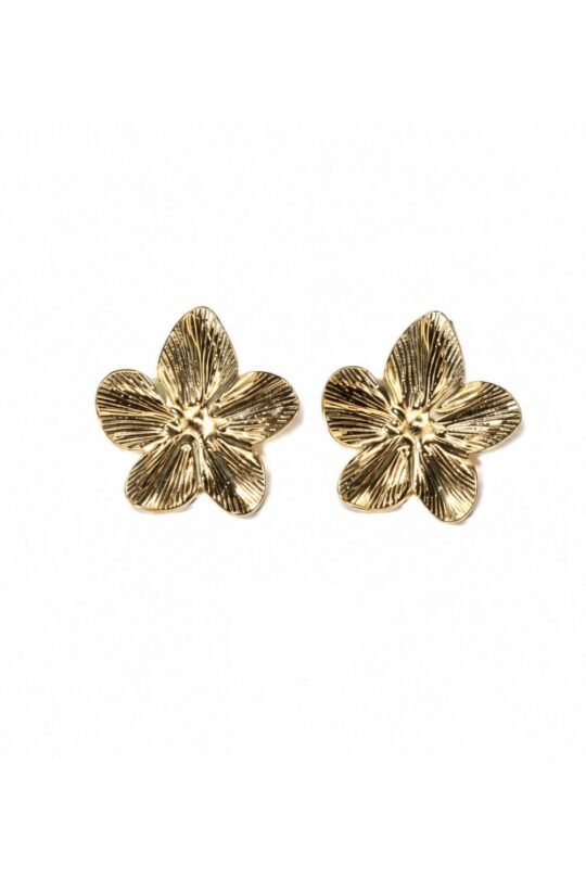 Lightweight Daily Wear Earrings
