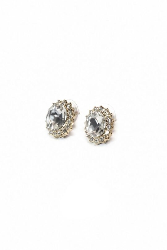 Classic Everyday Wear Earrings