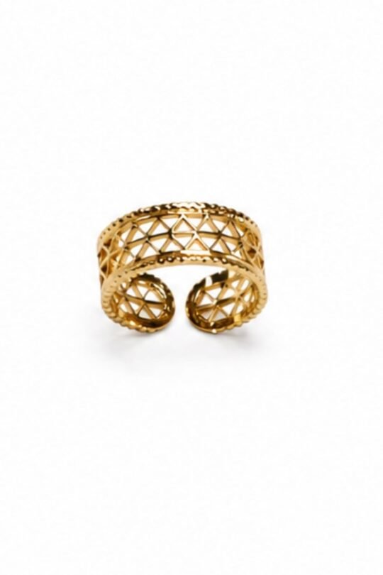 Double bordered Netted Delicate Look Ring